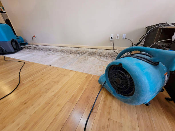 Professional Flood Damage Cleanup technician working in Silverton, TX